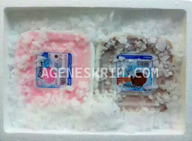 Paket es krim pesta lengkap dengan jasa penyaji, coolbox, cup dan stik